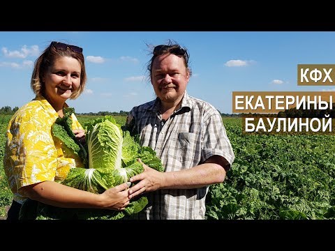 Видео: Выращивание овощей в КФХ Баулиной Екатерины. Рассказ о хозяйстве