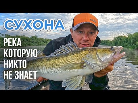 Видео: ДЖИГОВАЯ РЫБАЛКА НА КРАСИВОЙ РЕКЕ СУХОНА - Павел Виноградов открывает новые места.