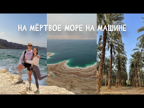 Видео: Путешествие на Мёртвое море | Парк Эйн-Геди | Израиль