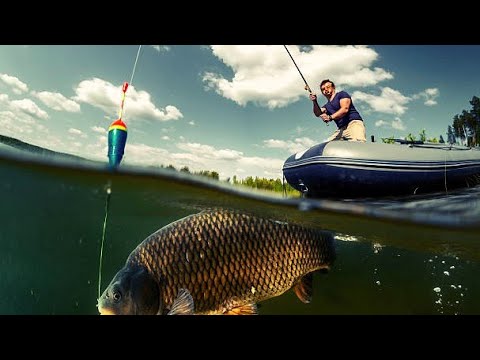 Видео: Рыбалка на Карпа, озеро Жукей, история двух дней за 15 минут!