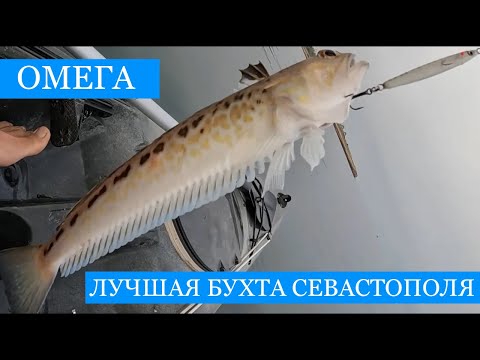 Видео: ЛУЧШАЯ бухта Севастополя - 2 часть!) ловля КРЕВЕТКИ! Много рыбы и общения, эксперименты с наживкой)