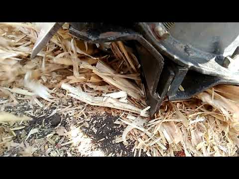 Видео: Рубаємо кукурудзу і обзор катків (подрібнювач)