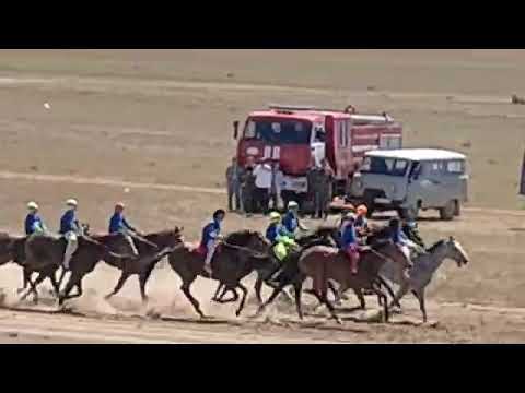 Видео: АҚСУАТТАҒЫ АЛАМАН БӘЙГЕ  Аягөздің Жұлдызы жүзден жүйрік.