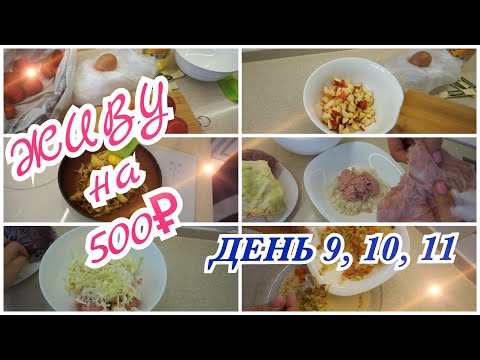 Видео: ЖИВУ НА 500 РУБЛЕЙ ДВЕ НЕДЕЛИ! День 9,10,11 КОНЕЦ ВЫЖИВАНИЯ