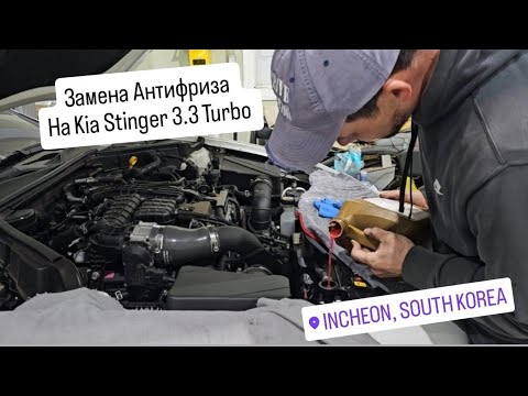 Видео: Замена Антифриза на Kia Stinger 3.3 turbo.