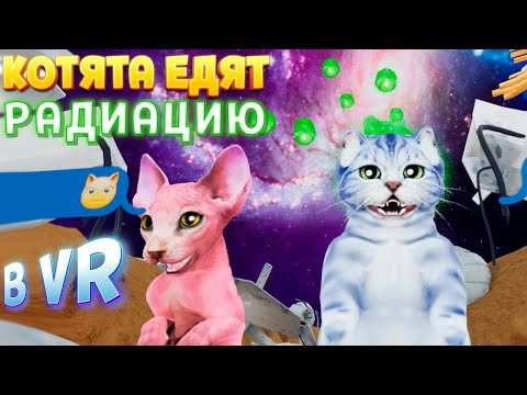 Видео: КОТЯТА ЕДЯТ РАДИАЦИЮ В ВР ( Kitten'd VR )