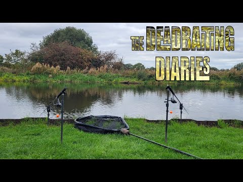 Видео: Дневники травли мертвецов. Часть 1