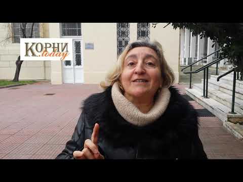 Видео: Университет Аристотеля - интересные факты с Аэлитой. часть 1