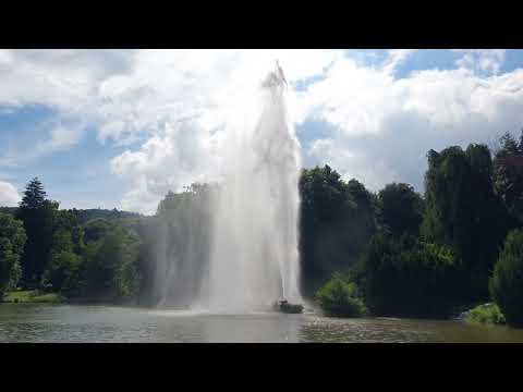 Видео: Захватывающие водные представления