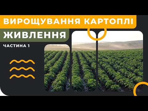 Видео: ТЕХНОЛОГІЯ ВИРОЩУВАННЯ КАРТОПЛІ. Частина 1