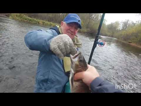 Видео: рыбалка на хариуса и ленка. бикин.  октябрь 22