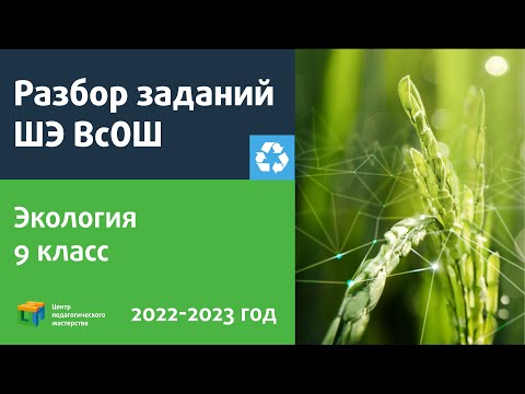 Видео: Разбор заданий ШЭ ВсОШ по экологии 9 класс