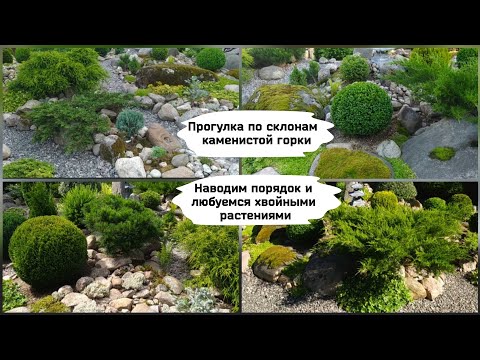 Видео: Прогулка по склонам каменистой горки.