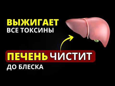 Видео: Всего 1 стакан и Печень Будет ЧИСТОЙ, как слеза! Этим отваром лечили элиту СССР.