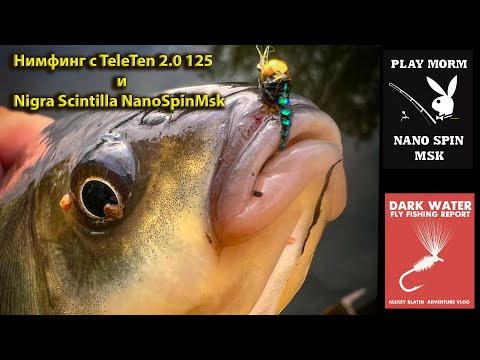 Видео: Нимфинг с TeleTen 2 0 125 и Nigra Scintilla