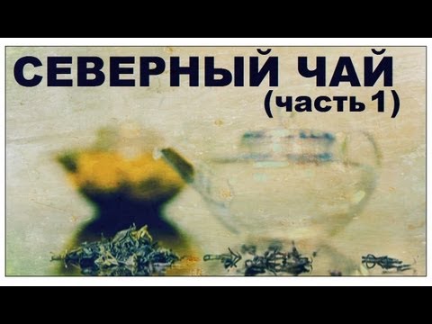 Видео: Галилео. Северный чай (часть 1)
