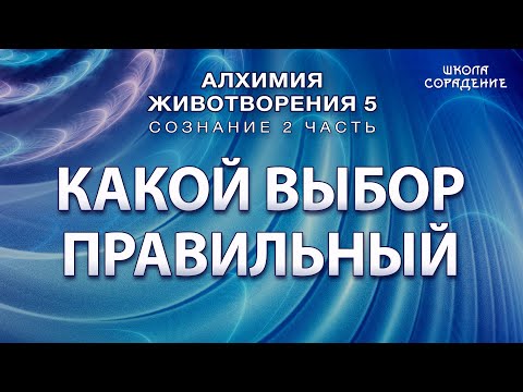 Видео: Какой выбор правильный? #Гарат #АЖ5  #Сознание #ЖивыеСеминары #школаСорадение