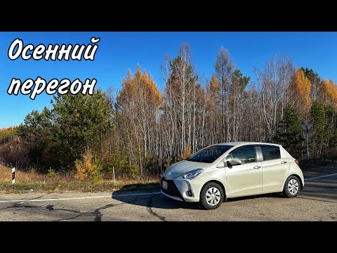 Видео: Осенний перегон из Владивостока в Москву. Забайкальский край, Бурятия. Часть 3