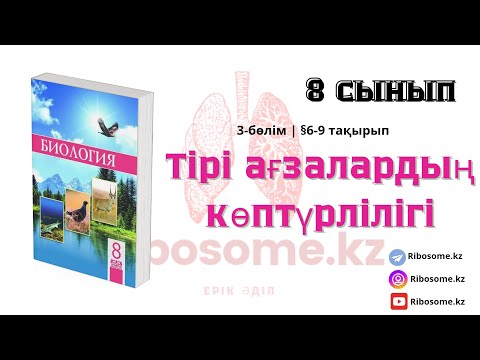 Видео: 8-сынып Тірі ағзалардың көптүрлілігі §6-9 тақырып 3-бөлім / Ribosome.kz / Ерік Әділ