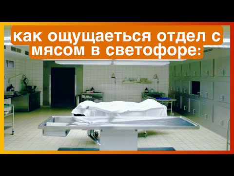 Видео: тикток в светофоре | подборка мемов