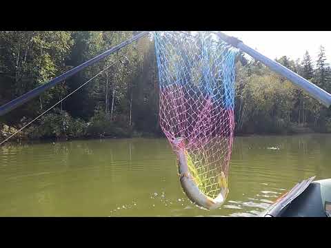 Видео: Короткая рыбалка на озере Бузим.