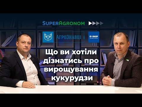 Видео: Кукурудза: правильне визначення фази розвитку для гербіцидних обробок, контроль шкідників / СА