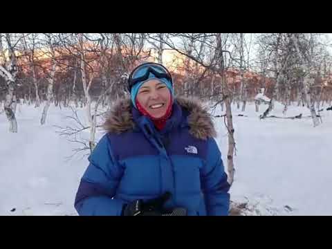 Видео: Третий этап гонки "Берингия. Авача" 2023. Налычево. Горячие источники. Скиджоринг.