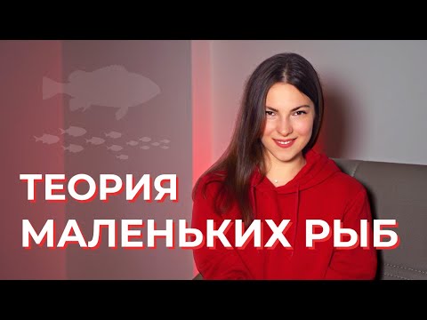 Видео: Легкий способ привлечь деньги, мужчину, возможности! Теория Маленьких Рыб