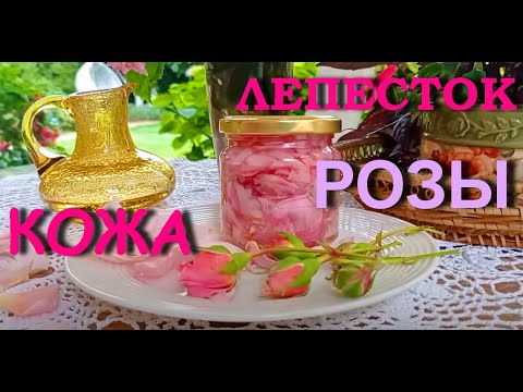 Видео: КОЖА как лепесток РОЗЫ. Розовое масло делаем сами!