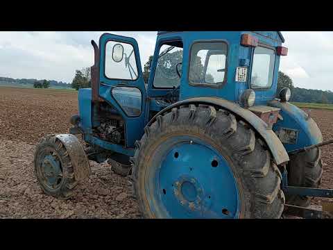 Видео: Т-40 АП и самодельный культиватор марки САМ-2,9.