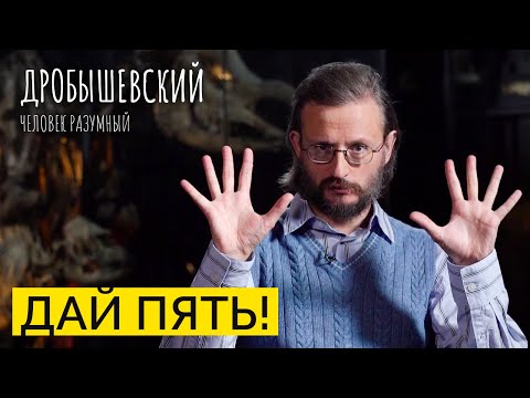 Видео: От плавника до руки: как эволюционировала человеческая кисть // Дробышевский