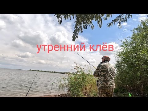 Видео: Лещёвый клёв. Утро на водохранилище.