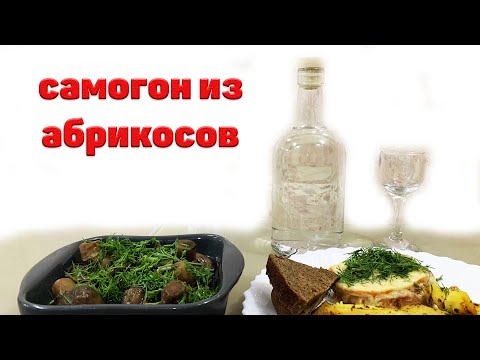 Видео: Самогон из абрикосов от А до Я. Очень вкусный самогон. Самогонный аппарат«Добродел max 2»