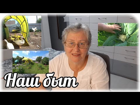 Видео: Вы просили, получайте 🦆🥒🍅🍓🌼....Как всем угодить? Два вечных вопроса...Что делать и где взять деньги?