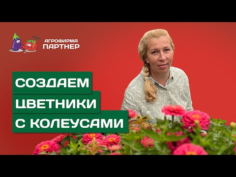 Видео: ГОТОВЫЕ РЕШЕНИЯ ДЛЯ ВАШЕГО САДА | С чем сочетать колеусы на садовом участке?