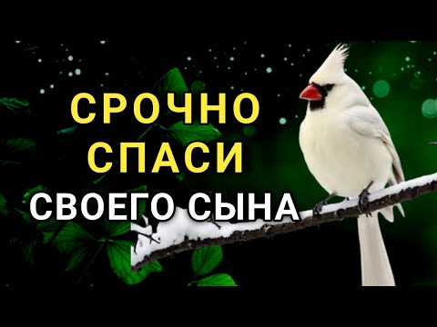 Видео: Повторите эту молитву и ваш СЫН будет под защитой! Лучшие молитвы, слушать минимум один раз в день 🤲