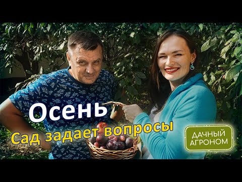 Видео: Делай ТАКъ и будешь с урожаем