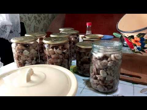 Видео: 226. Мариную Грибочки 🍄 мой эксперимент с перцем 🌶️