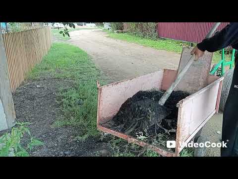 Видео: Испытание велотрактора с тачкой  #велотрактор #велотачка #веломобиль #минитрактор на педалях.🚜🔥👍