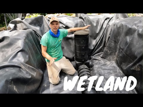 Видео: Фильтр для заболоченных земель для пруда с кои