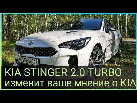 Видео: KIA  Stinger 2.0 TURBO изменит ваше мнение о KIA