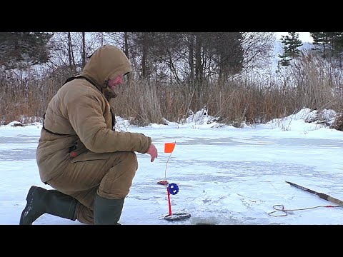 Видео: Не ожидал  здесь такую поймать !Рыбалка на жерлицы 2023-2024 ! Зимняя рыбалка!