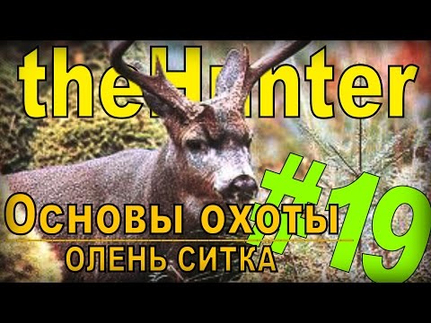 Видео: the Hunter - Олень Ситка [Основы охоты] #19