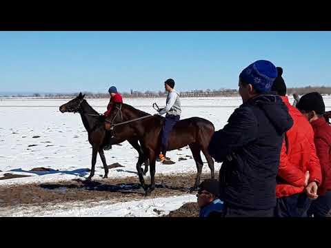 Видео: Ат-Чабыш Сосновка (23.02.18)