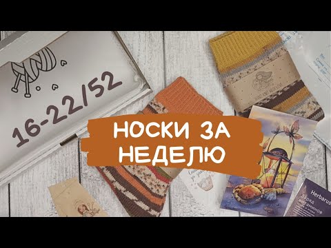 Видео: НОСКИ ЗА НЕДЕЛЮ | Вяжу на заказ | Как красиво упаковать носки? | Связала 7 пар носков.