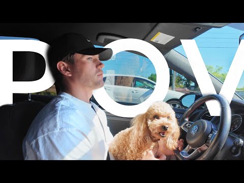 Видео: Vlog, будни в США, день рождения