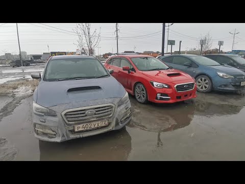 Видео: Subaru levorg GT-S Отзывы владельца.