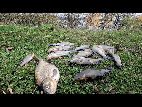 Видео: Я на Волге