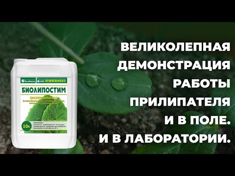 Видео: Удобрения, средства защиты растений становятся эффективнее до 20%! БашИнком
