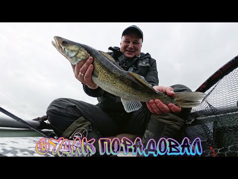 Видео: Рыбалка на хищника с лодки! СУДАК ОСЕНЬЮ НА ЖЕЛЕЗО!